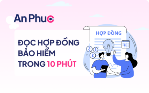 Cách đọc hợp đồng bảo hiểm trong 10 phút và tìm ra điểm bất lợi