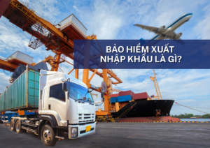 bảo hiểm xuất 
nhập khẩu là gì?